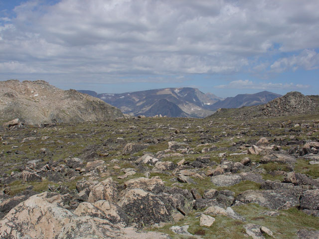 BeartoothTundra