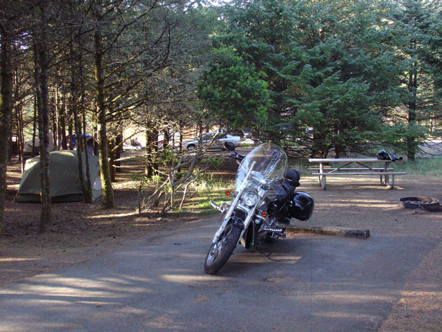 CapeDisappointmentCampsite