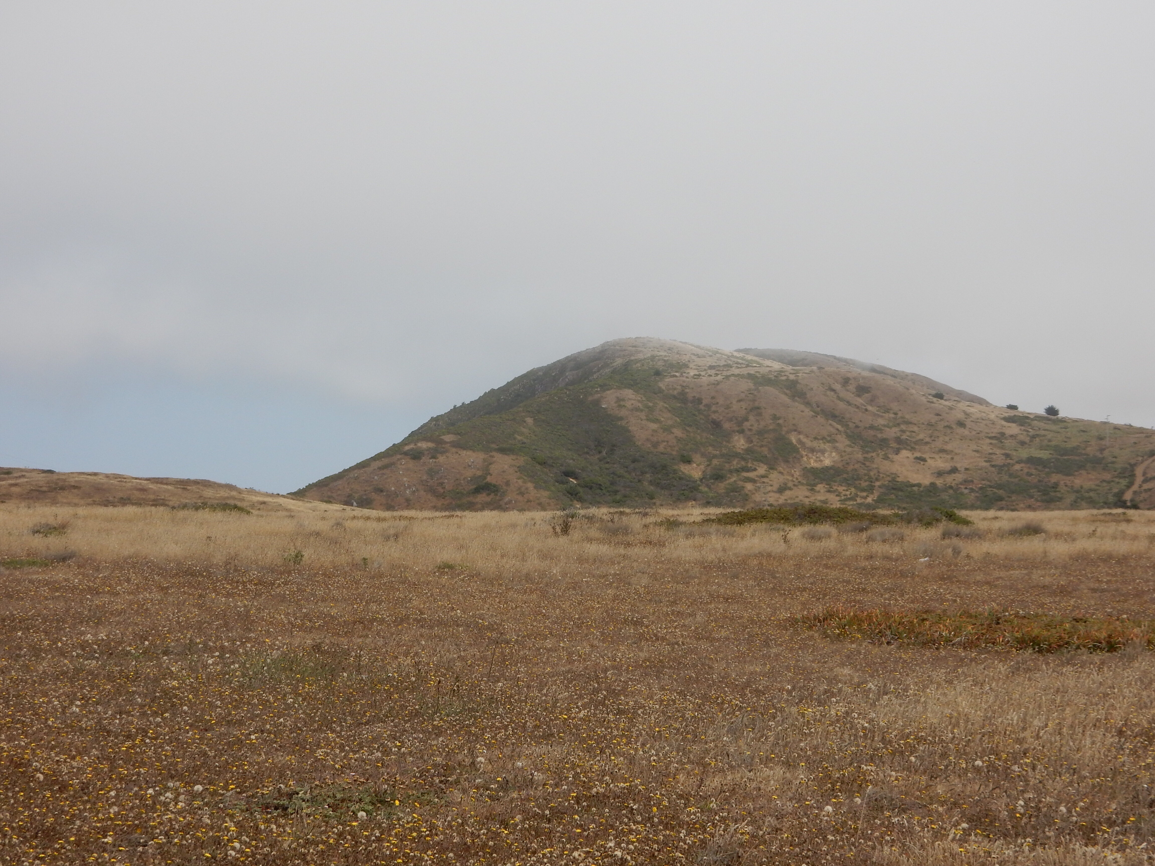 The coastal fog creating the hill just inland of North Salmon Creek Beach. You can see clear sky to the left.