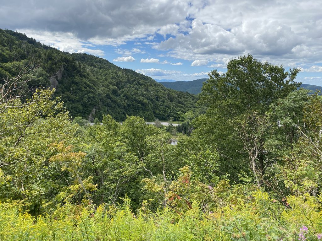 The view west from Appalachian Gap on Vermont highway 17.