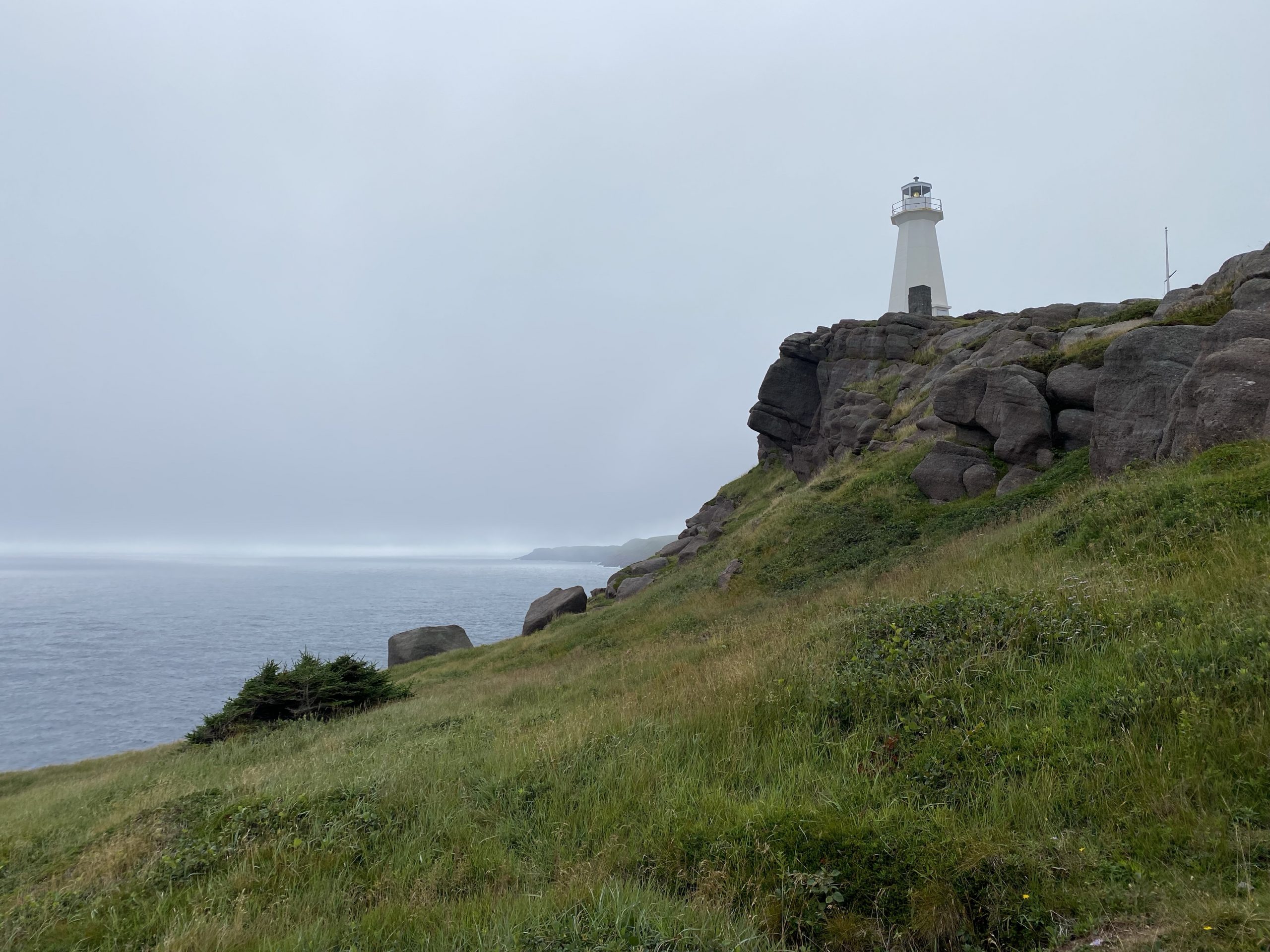 The Cape Spear lighthouse and coastline, looking south.