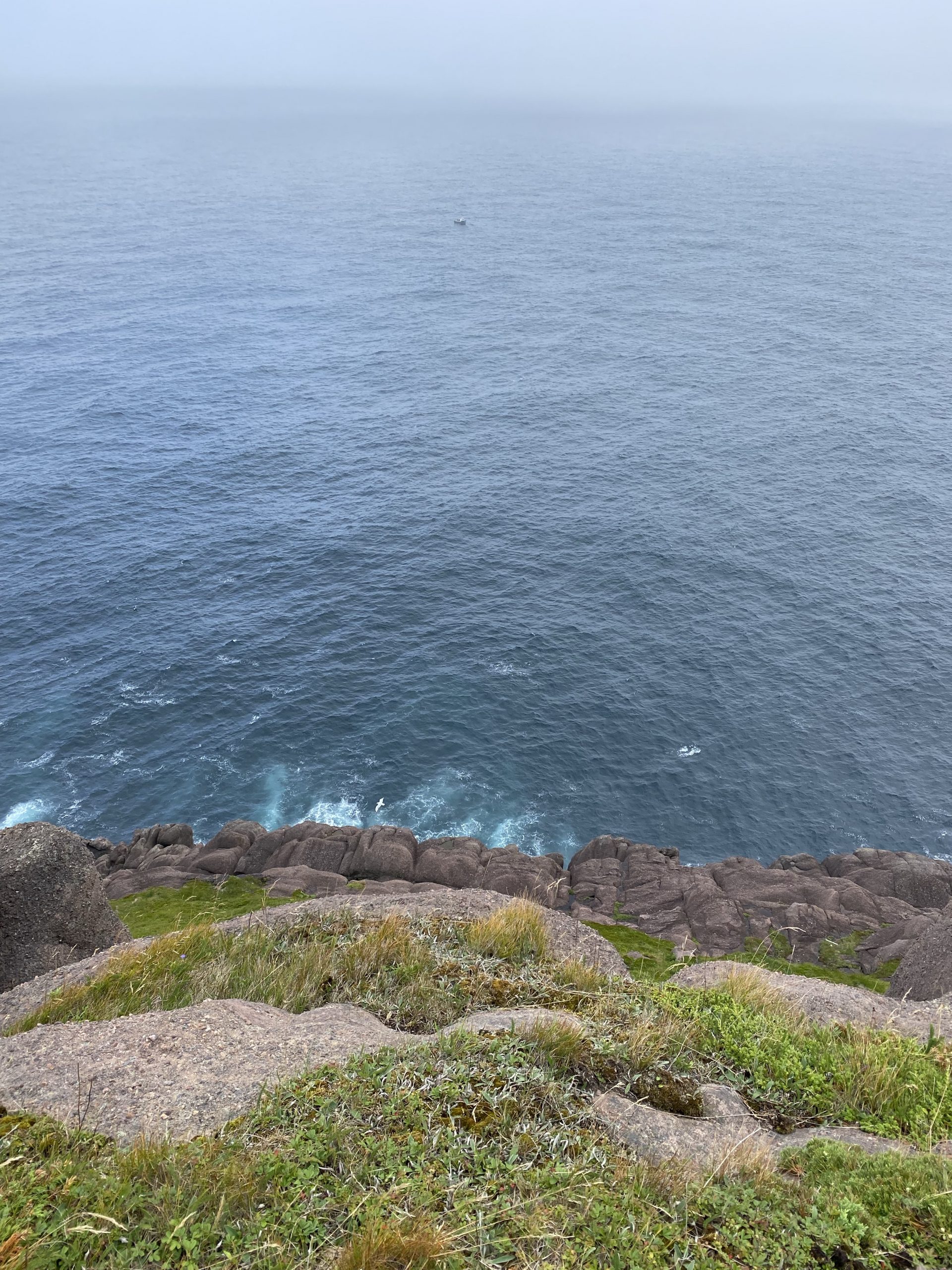 Looking down a cliff to the ocean at Cape Spear; little fishing boat out in the distance.