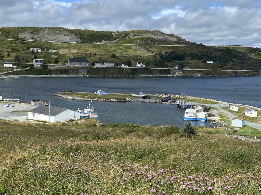 The harbor at Ferryland in Newfoundland.