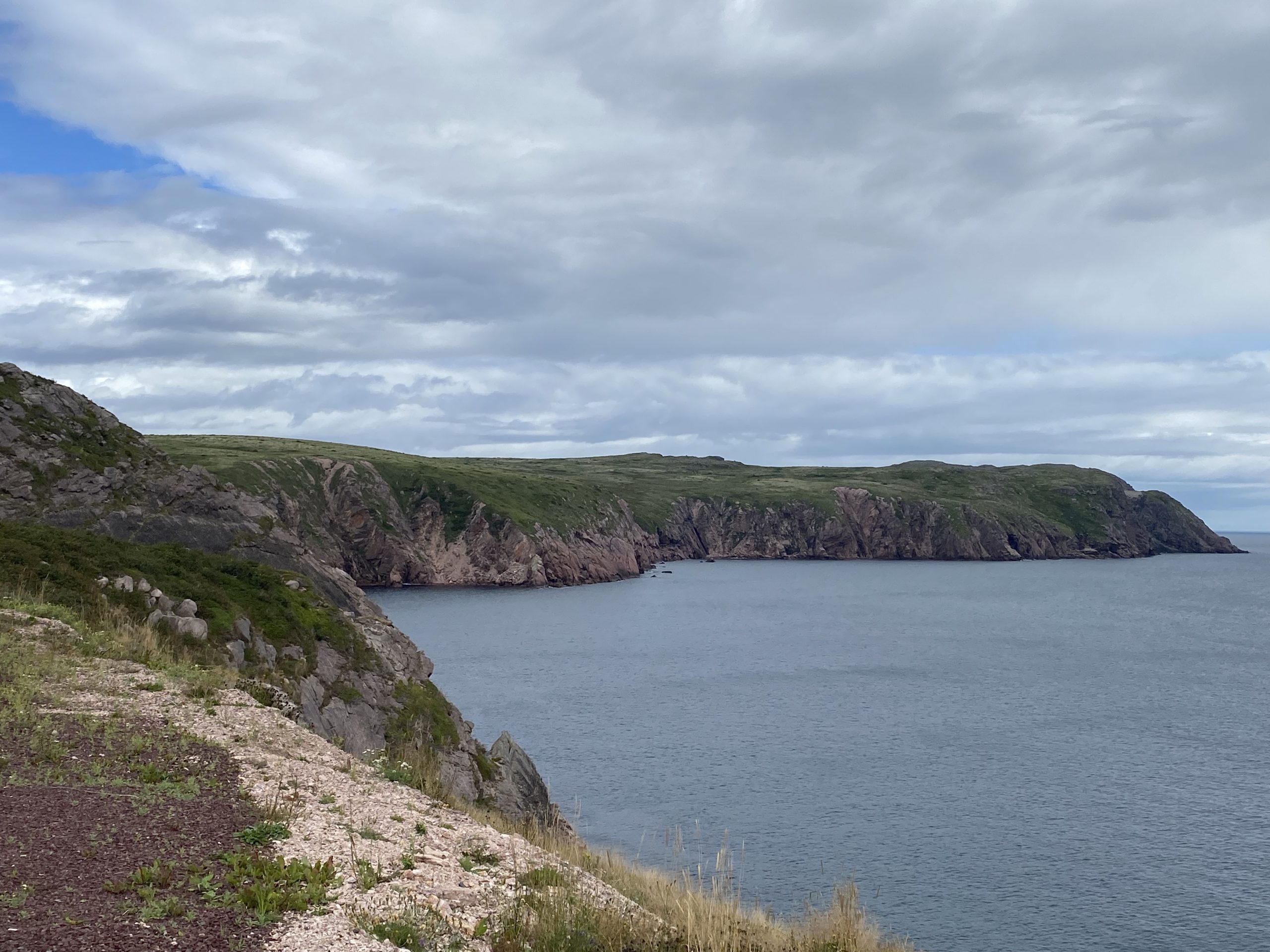 The coast north of Bay de Verde in Newfoundland.
