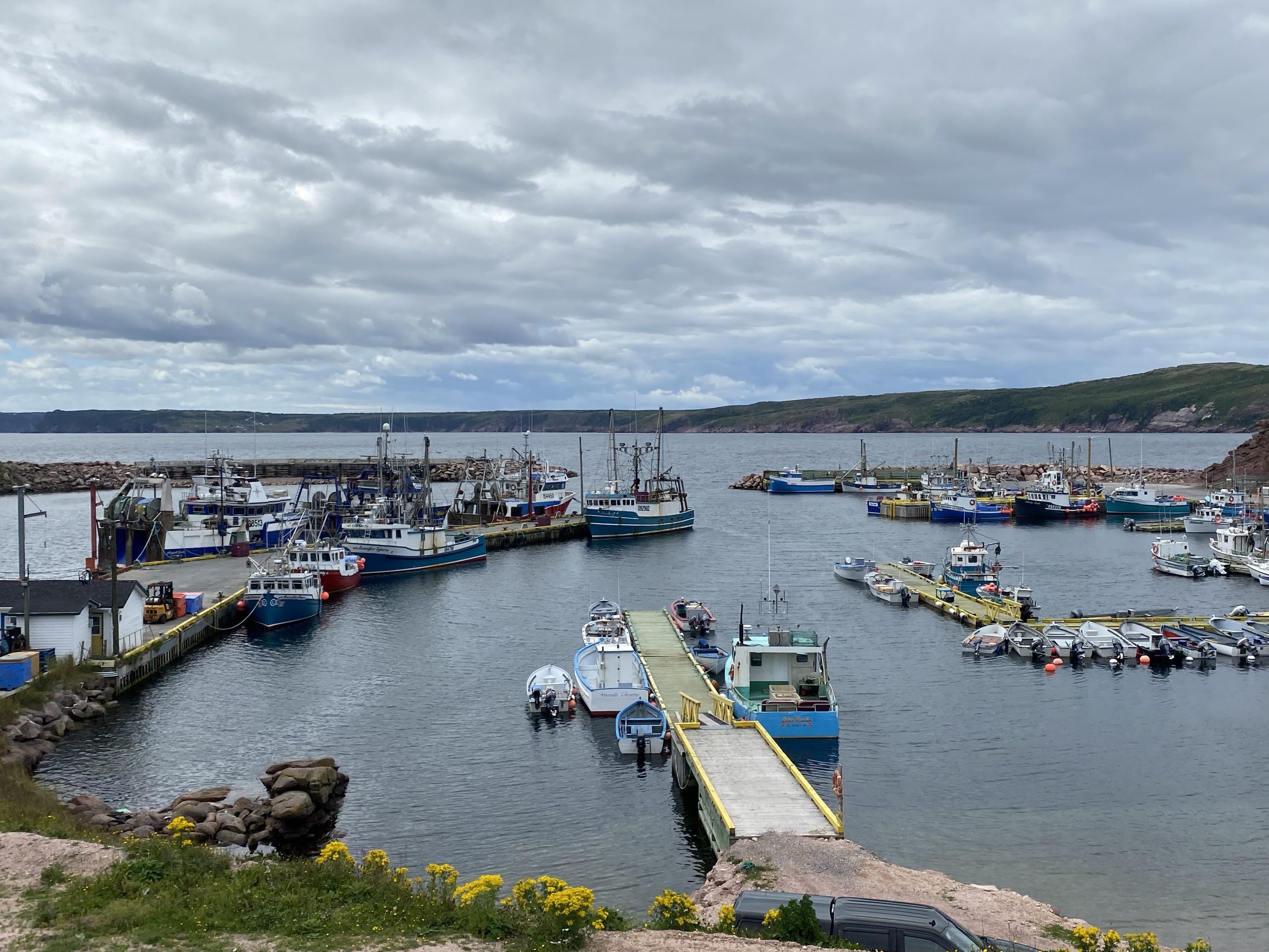 The harbor full of fishing boats in Bay de Verde in Newfoundland.