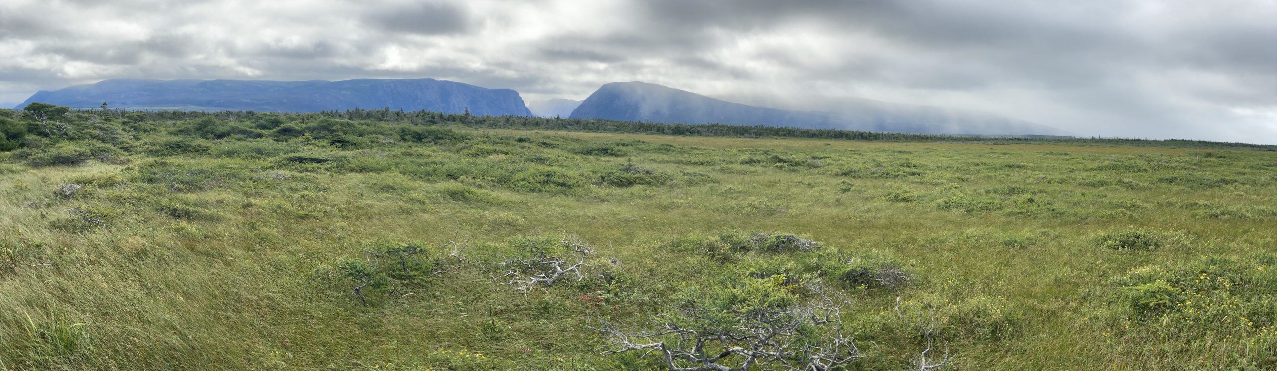 A panoramic view of the Long Range mountains, near Gros Morne National Park in Newfoundland.