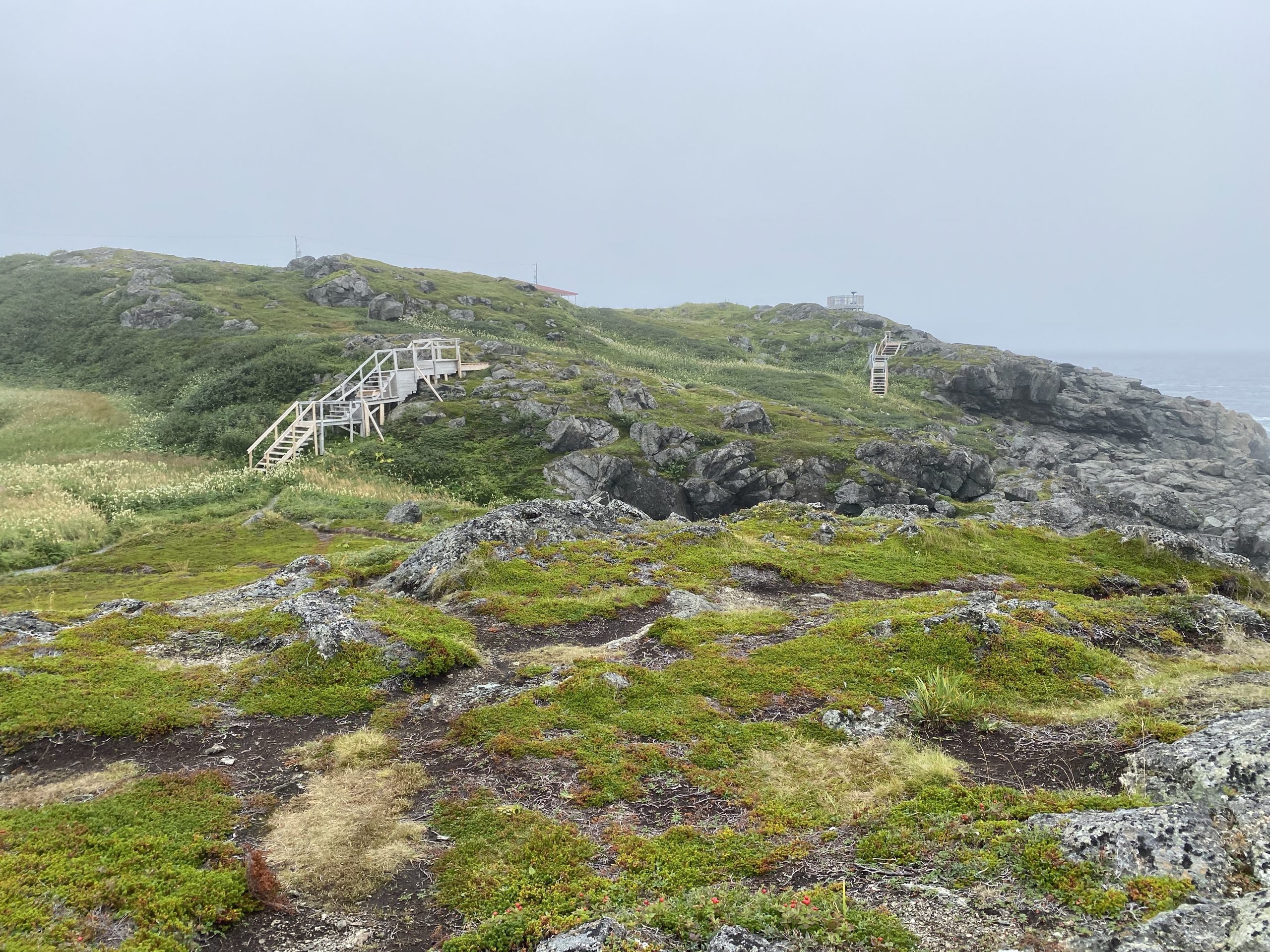 The shoreline path at Fox Point (or Fisherman’s Point) near St. Anthony, Newfoundland.