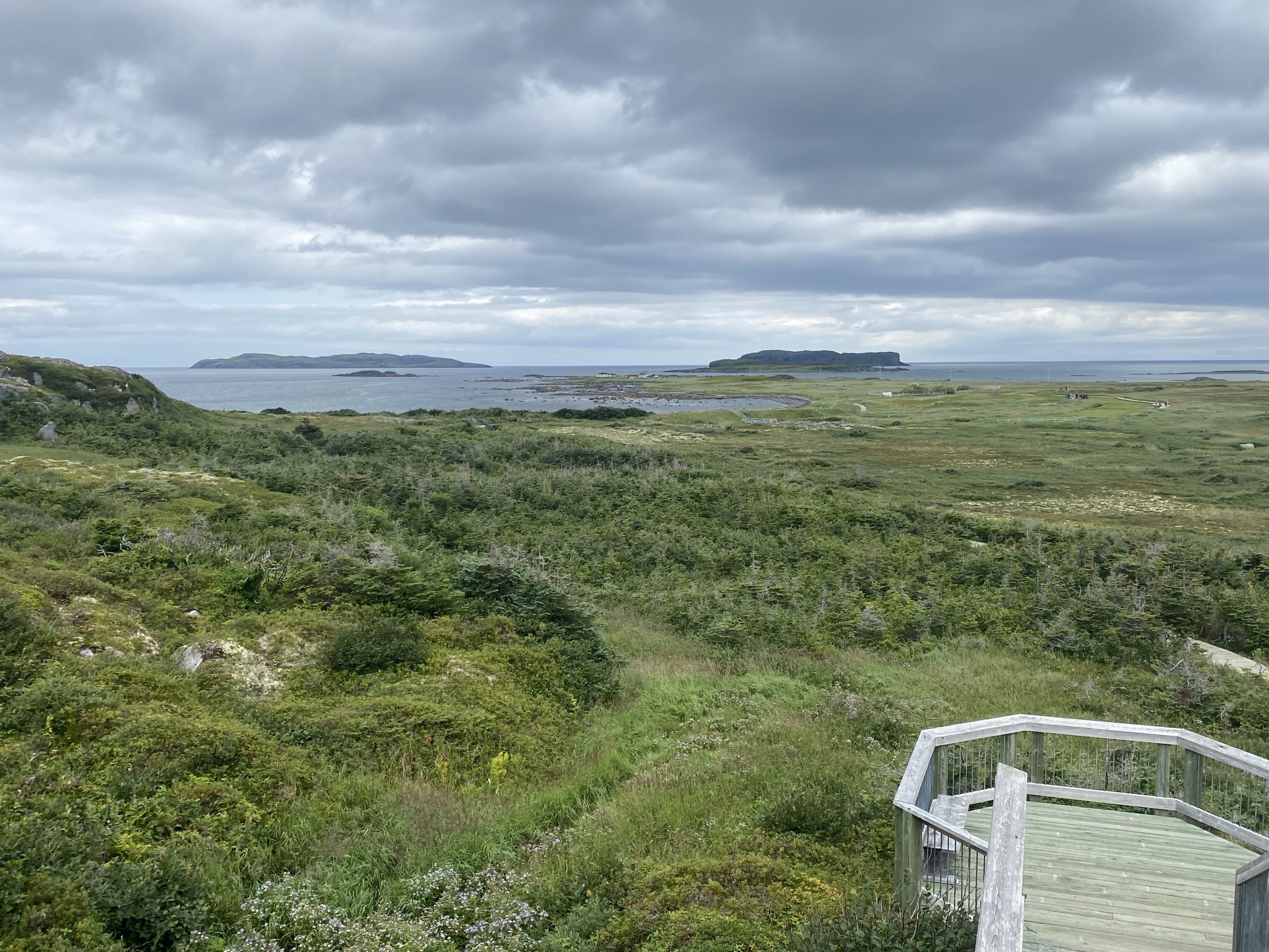 The area around the L’Anse aux Meadows site.