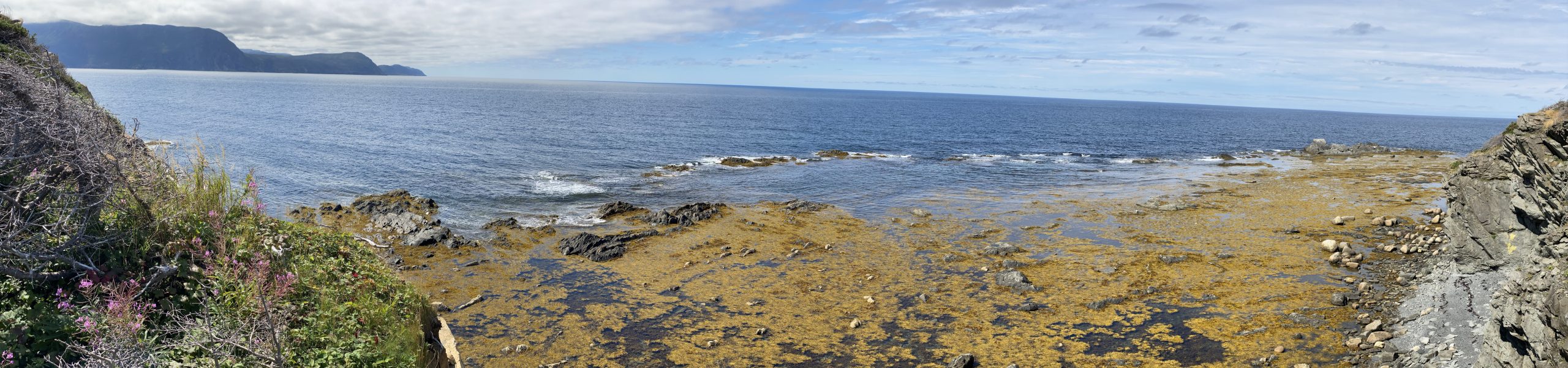 A panoramic view of Lobster Cove, in Newfoundland.