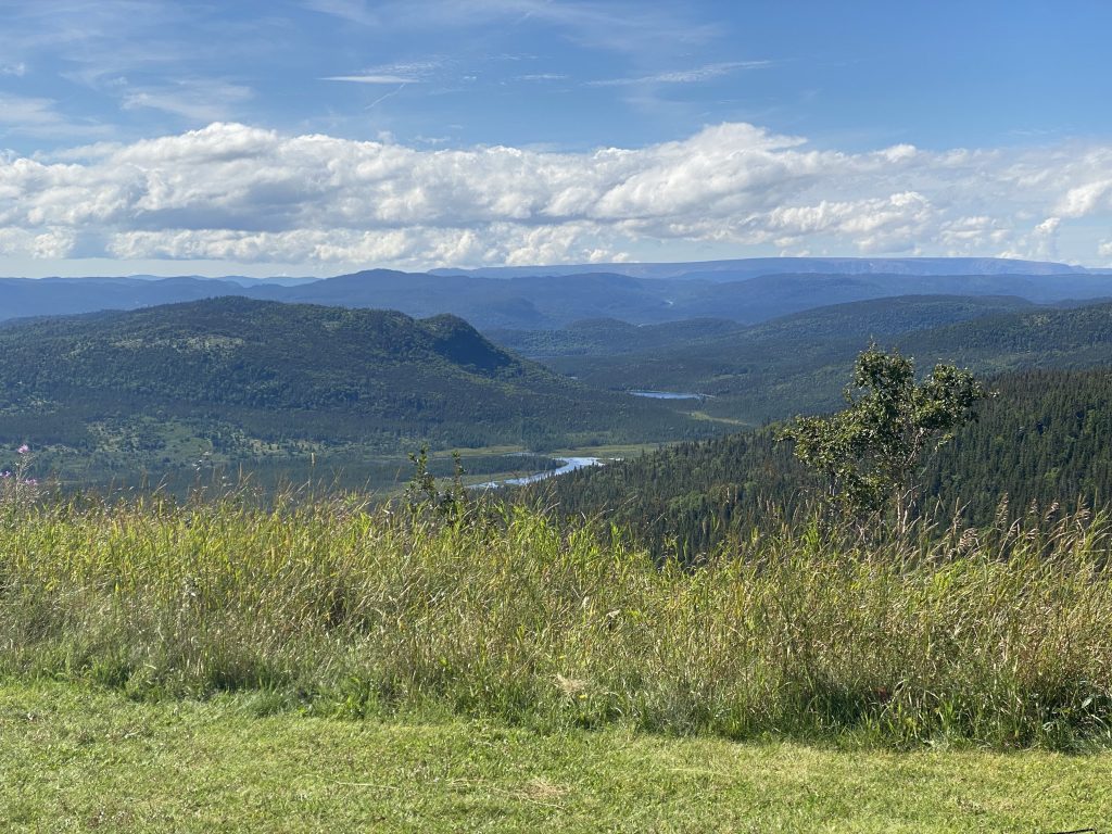 A nice overlook of a forested valley west of Deer Park along highway 430 in Newfoundland.