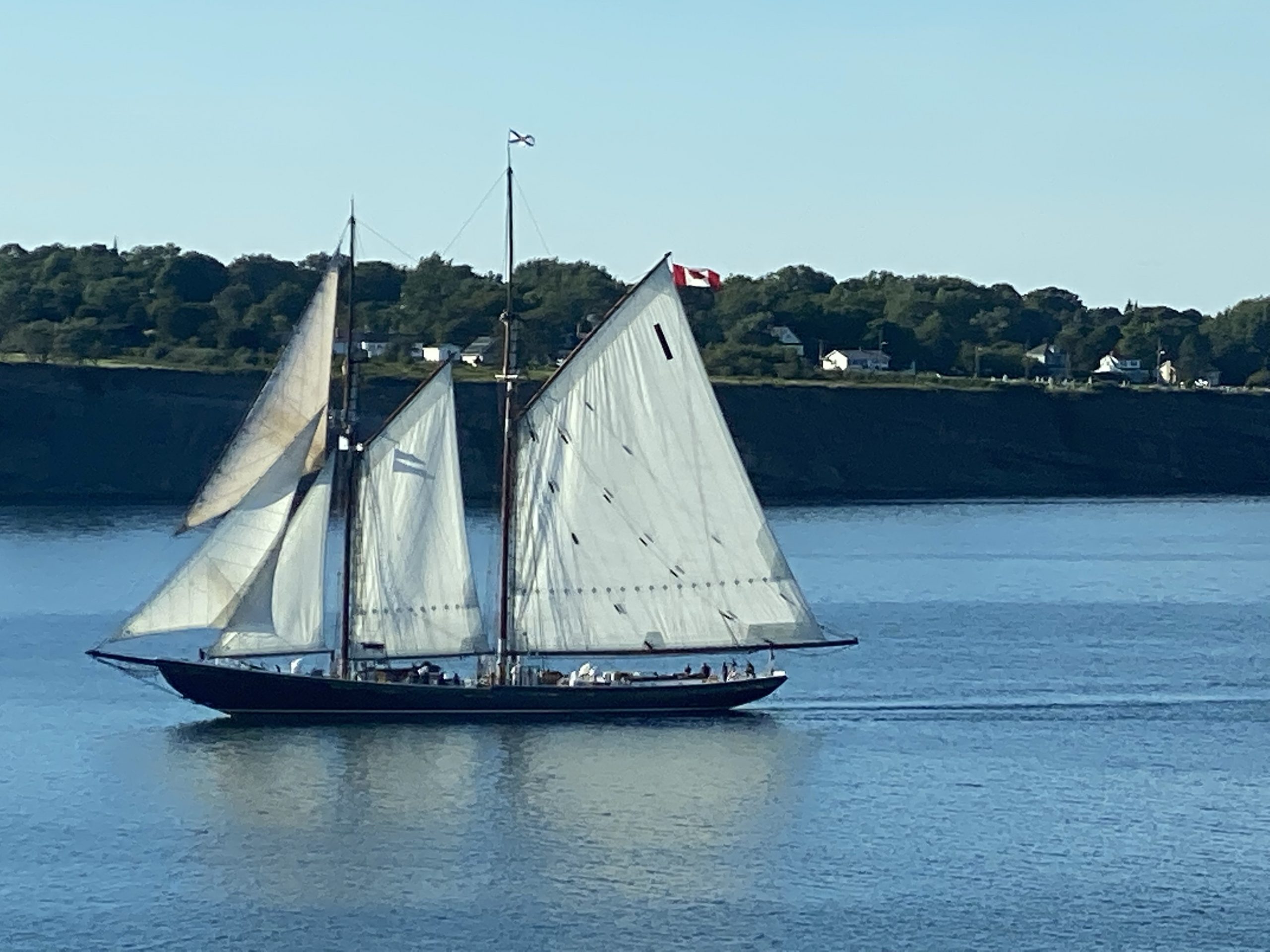 A closeup of the Blue Nose II sailing next to us up the North West Arm near North Sydney in Nova Scotia.