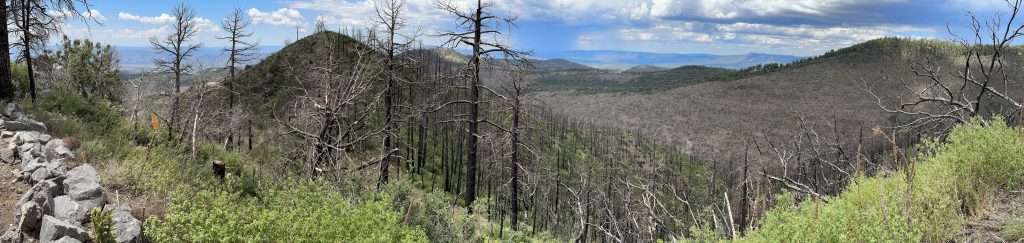 A panoramic view of a previously burned region along the Coronado Trail Scenic Byway in Arizona.
